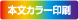 本文カラー印刷